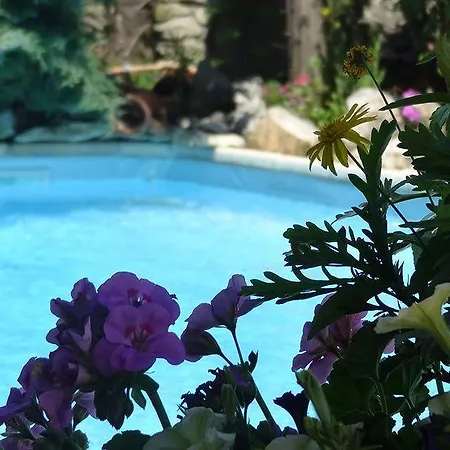 Du Midi Hotel 3*